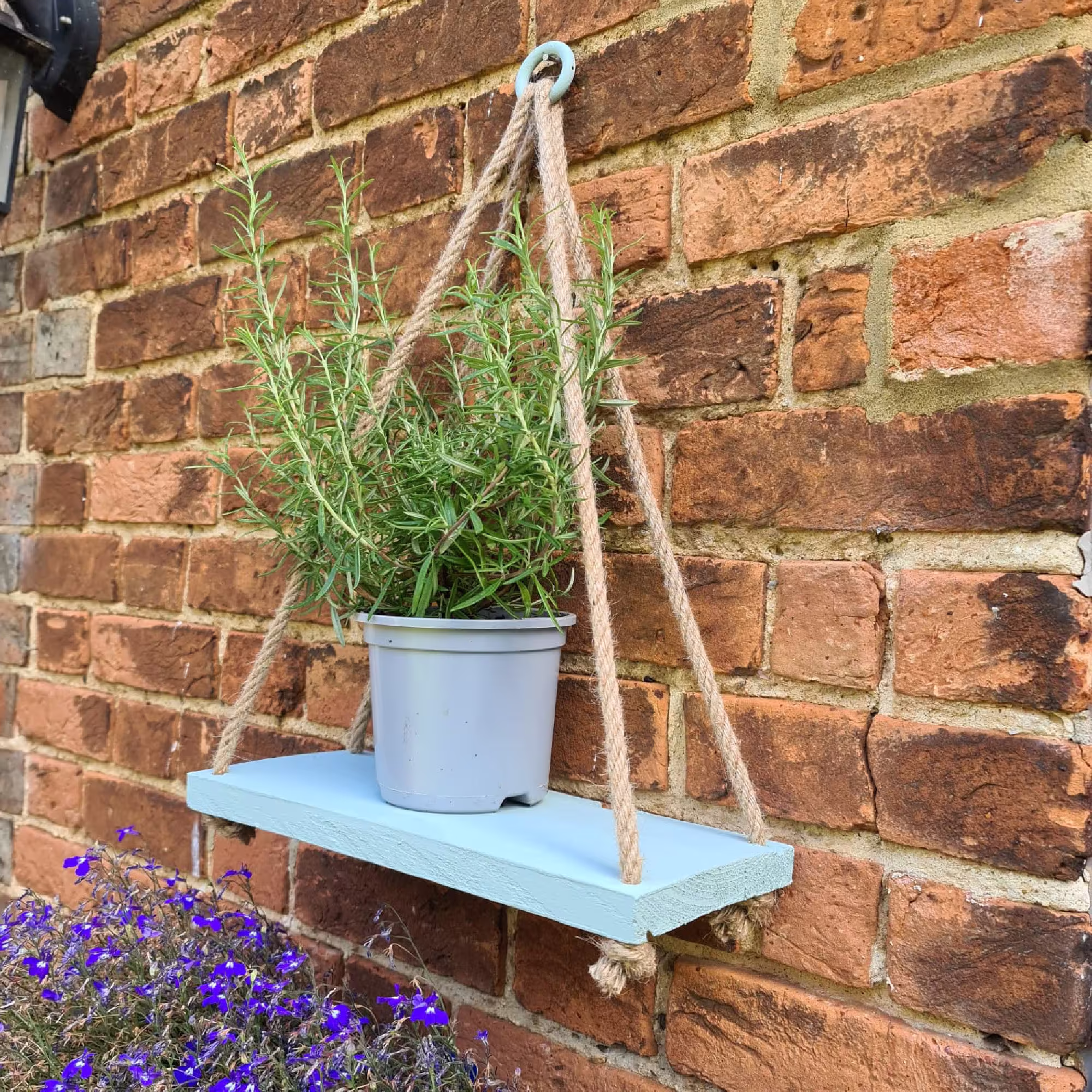 Wood Shelf Painted in Green With Rope & Hanging Ring Made The UK Perfect For Garden Herbs Flowers Kitchen Or Bathroom