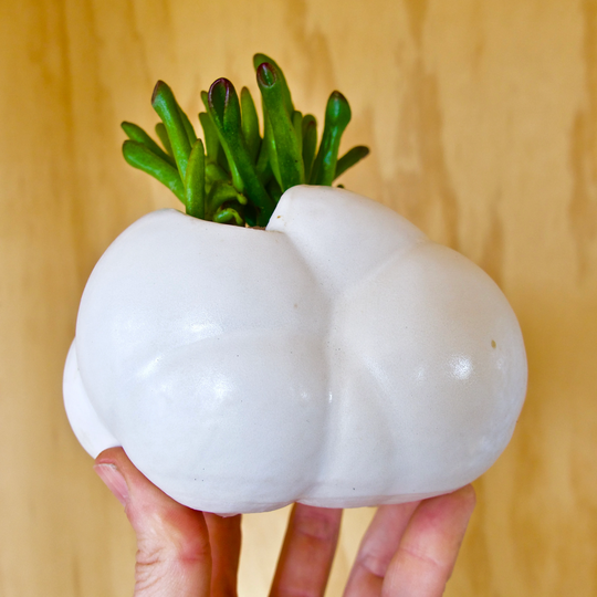 Sculptural Ceramic Planter