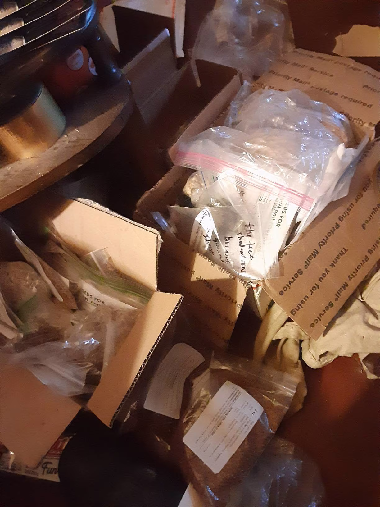 Mystery Bag Of Tree Seeds | Up To 3 Types Given