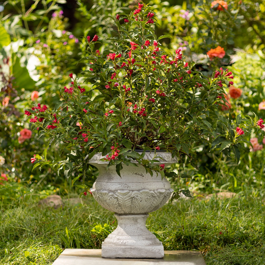 17 Inch Tall Urn Style Flower Planter in Antique White