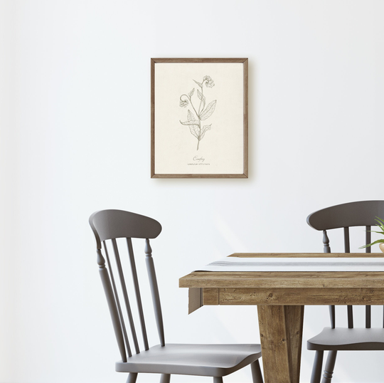 Comfrey Botanical Herb, Neutral Minimalist Line Drawing, Wall Art Print
