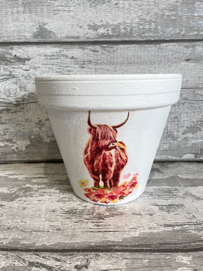Highland Cow Pot For Inside Or Out Decoupaged, Cows Garden Gifts
