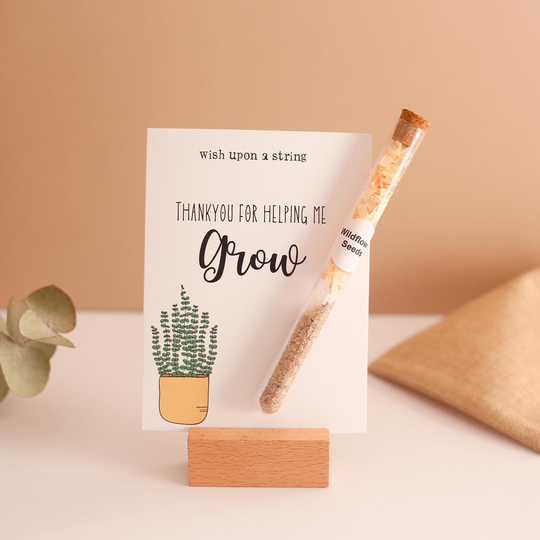 Thankyou For Helping Me Wildflower Seeds Teacher Gift