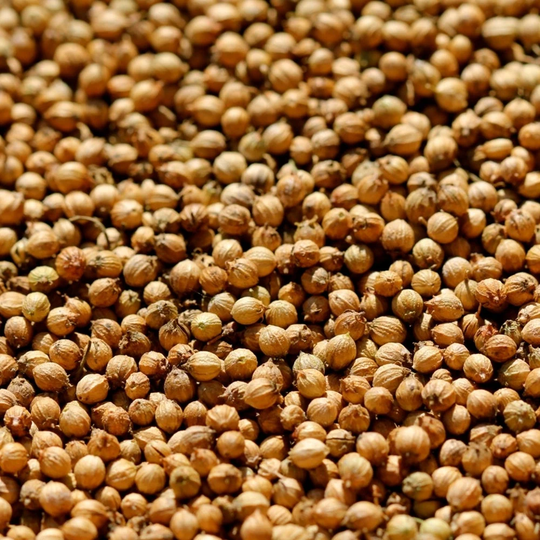 Organic Non Gmo 100 Cilantro/Coriander Seeds, Heirloom Seeds 2021