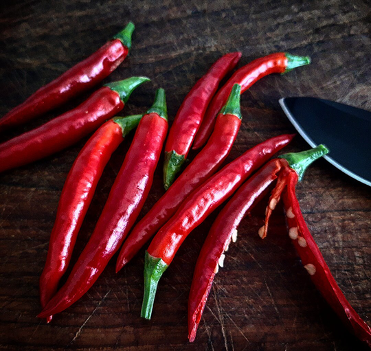 Takanotsume Aka Hawk Claw Chilli | 10 Seeds