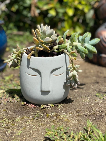 Ceramic Head Planter, Face Planter Indoor, Succulent Pot De Fleur, Pot, Plant From Usa