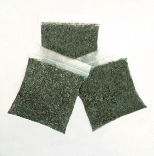 3 Bags Of Catnip - Homegrown & Dried By Organic Methods. Fresh Very Fragrant