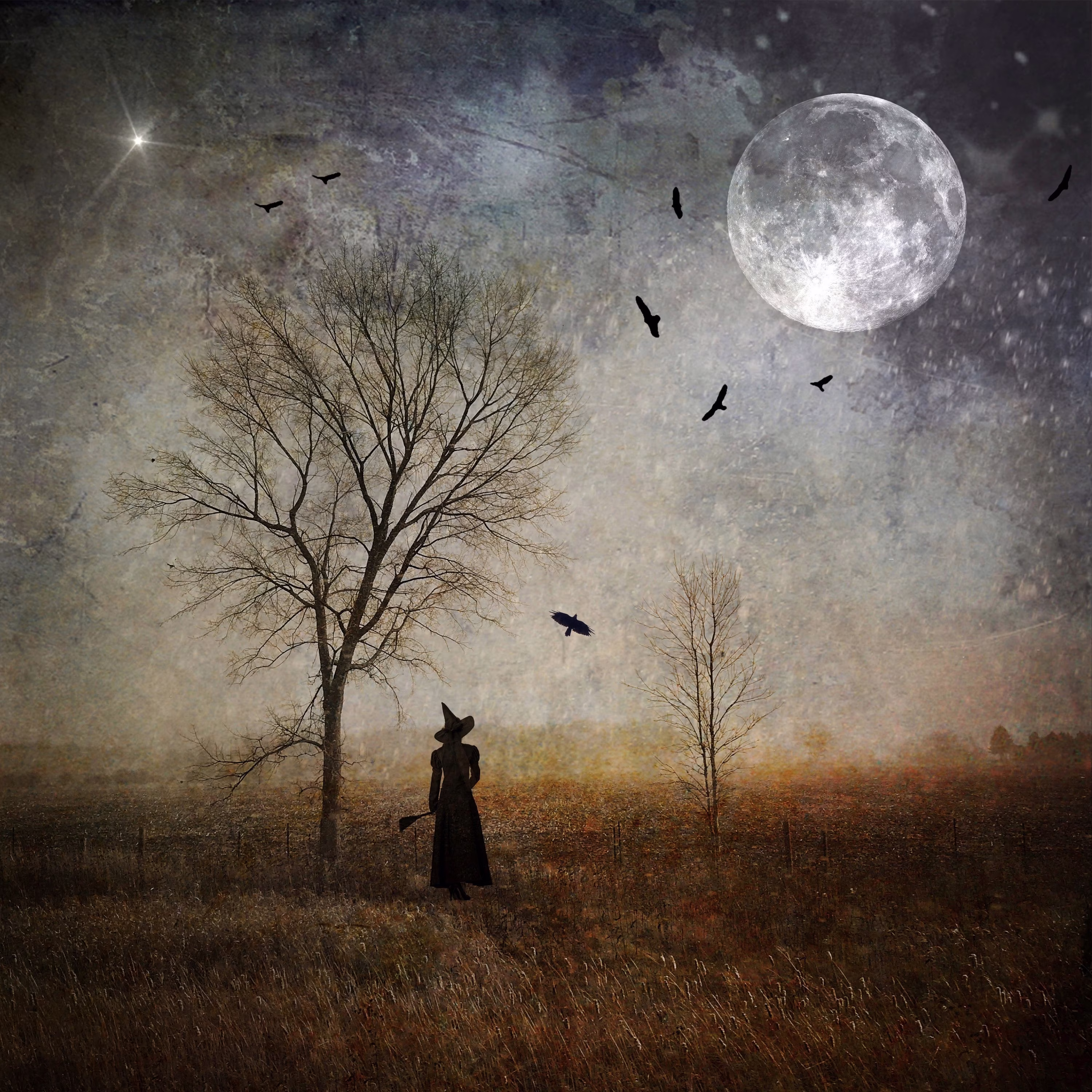 Season Of The Witch Print - Witchy Photo Goddess Autumn Full Moon Gothic Art Woman Mood Haunting Birds Raven Crows Halloween October Samhain