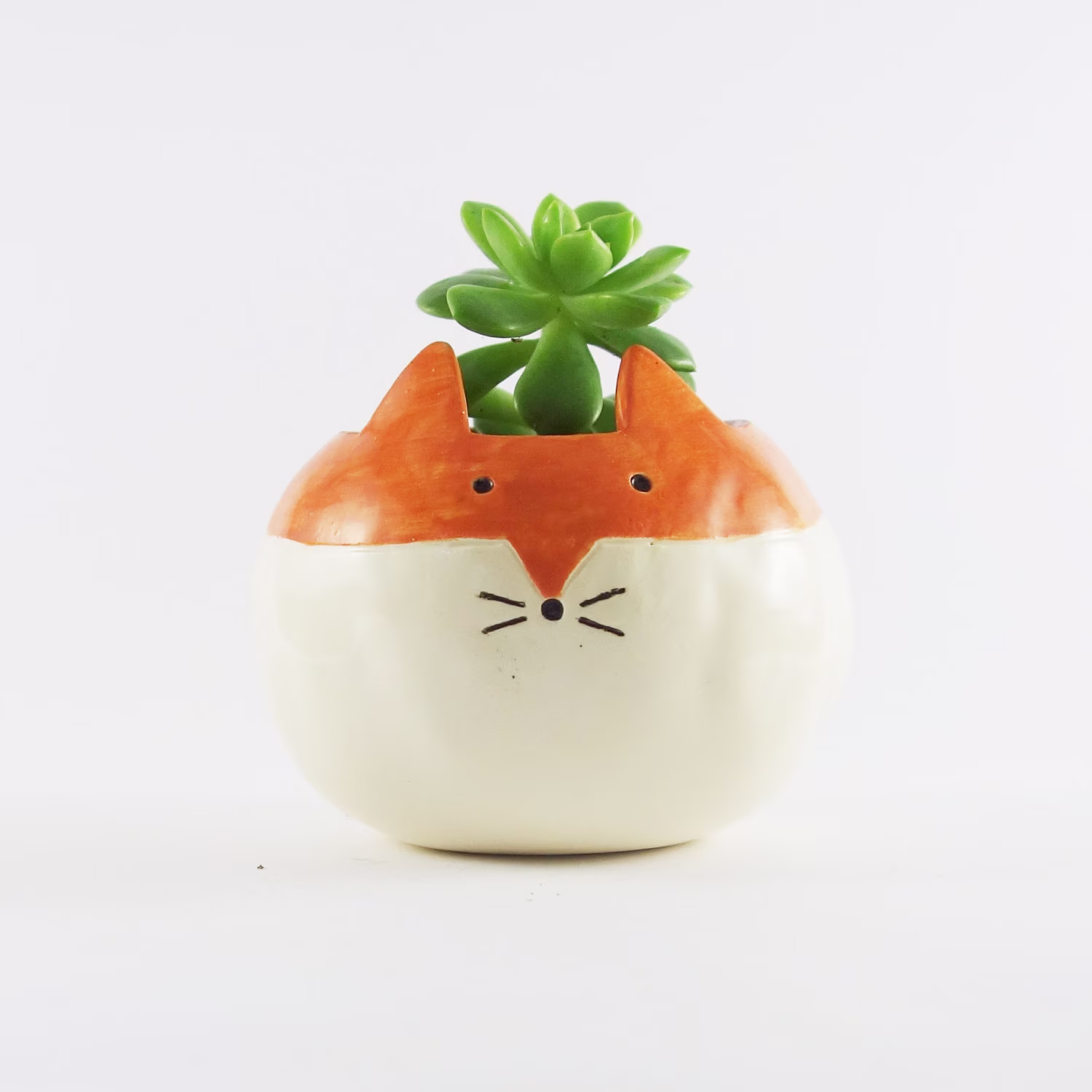 Plump Fox, Round Planter, Ceramic Pot, Animal Planter