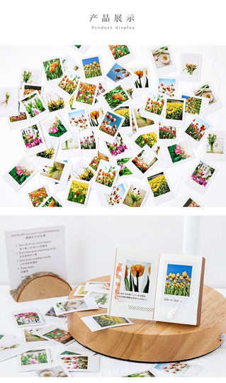 The Season Of Tulip Mo Card 45 Stickers - Cute Planner Scrapbook Craft UK Stock Same Day Shipping Bujo Mo.card