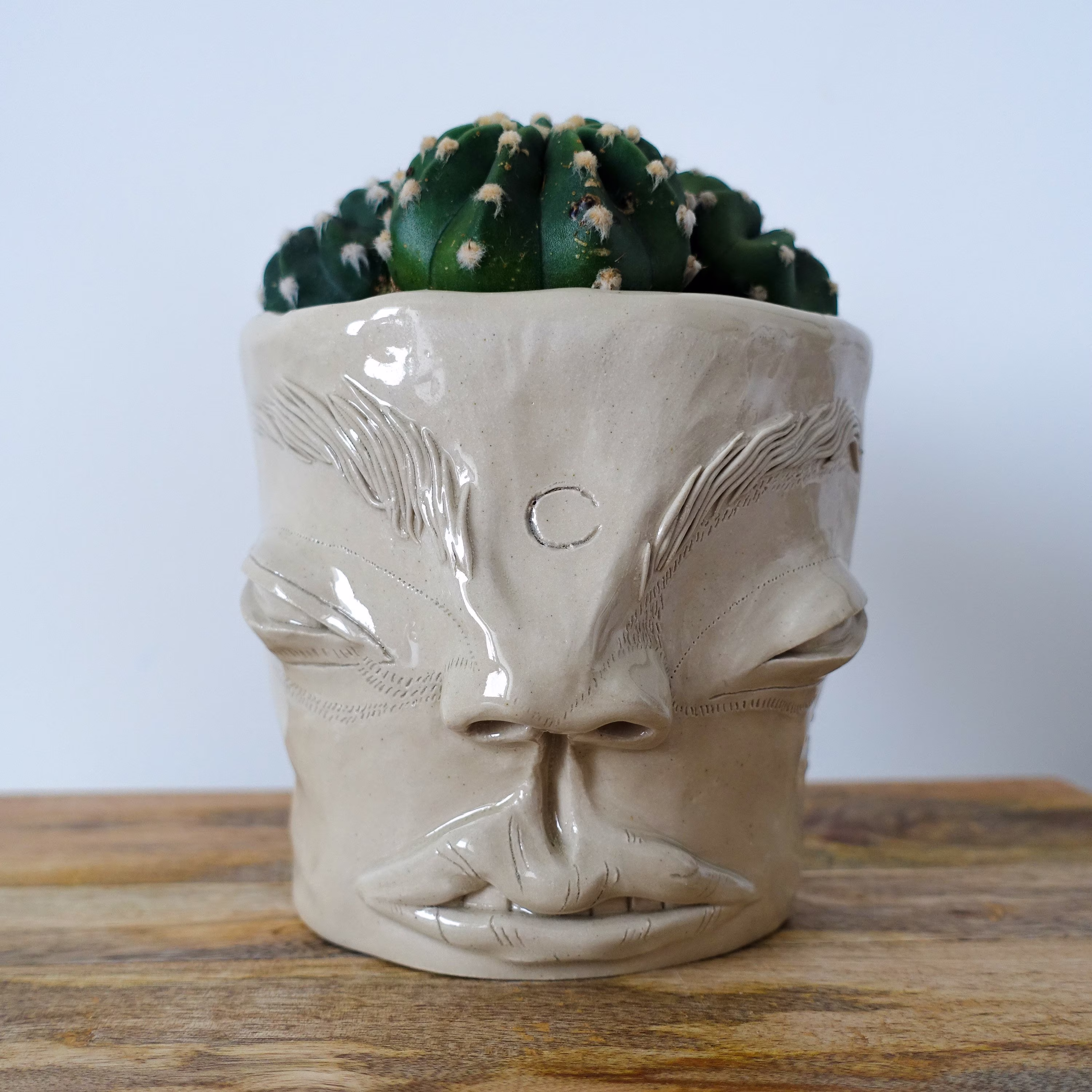 Paula - Unique Flower Vase, Plant Lover Gift, Herb Planter, Weird Stuff, Funny Unique Succulent Pots