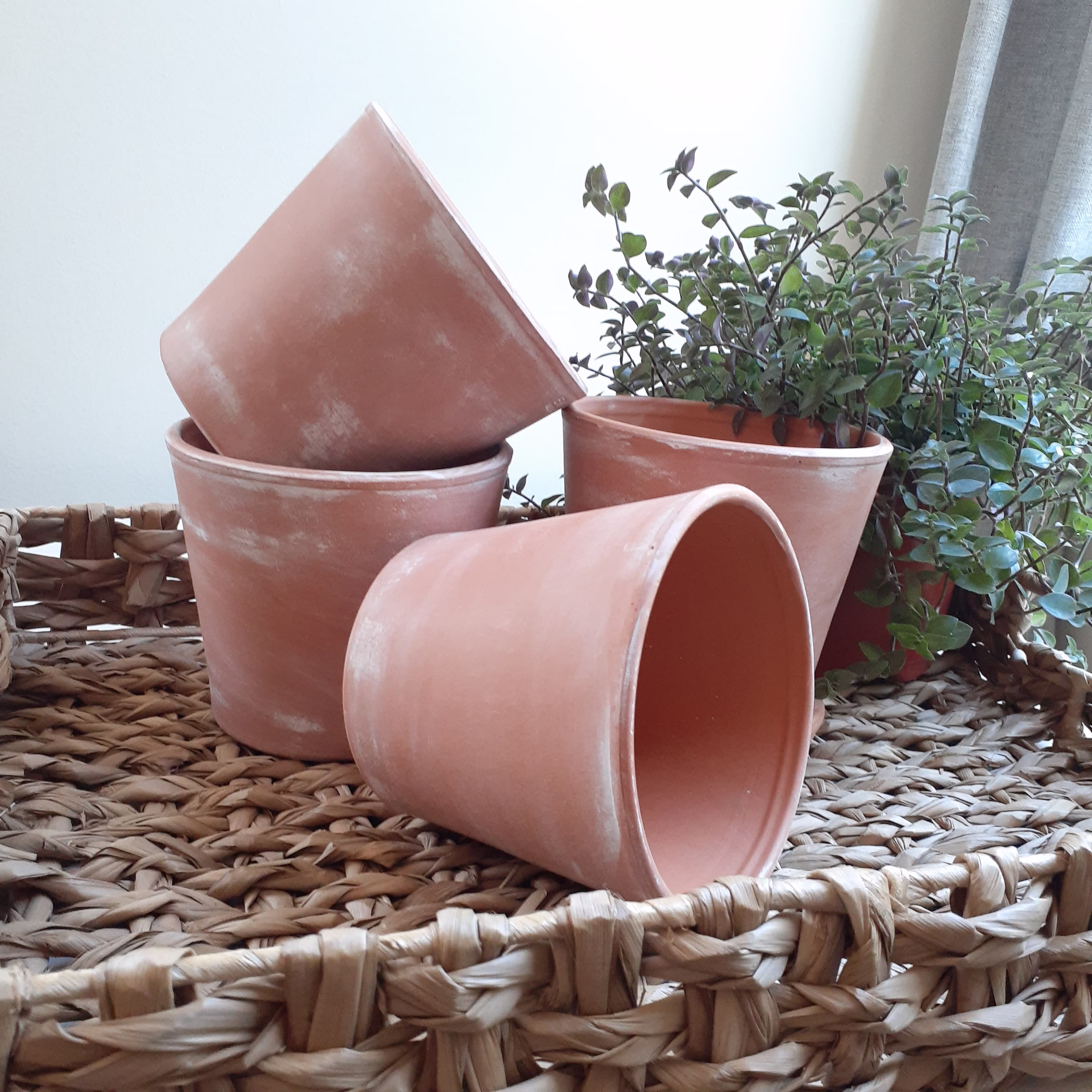 Rustic Aged Terra Cotta Pot & Saucer, Herb Planter