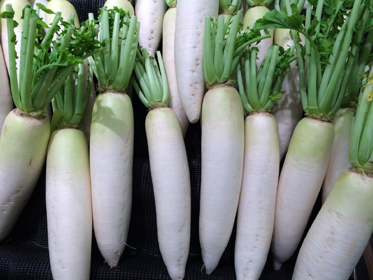 Batch Of 500 White Radish Seeds Transparent