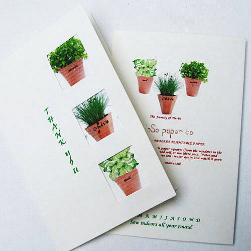 3 Herb Seeds in a "Thank you"