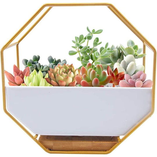 Tinor - Modern Metal Wire Wall Planter,Wall Mounted Plant Pot,Hanging Flower Wall Mounted Glass Planter Clear Vase for Artificial