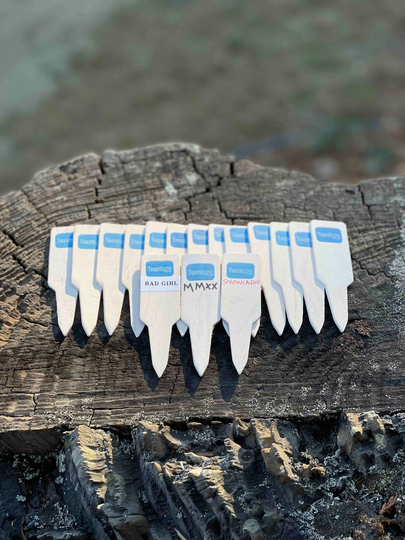 Wooden Garden Plant Markers | 25 Ct