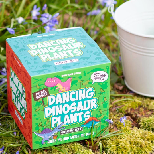 Grow Your Own Dancing Dinosaurs Plant Gift, Birthday Gift , Gardening For Kids, Plant A Flower, Indoor Garden, Dinosaur Gift, Childs Garden