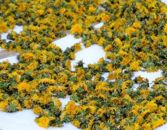 0.88 Oz Dried Dandelion Flower Bio Organic 25G /