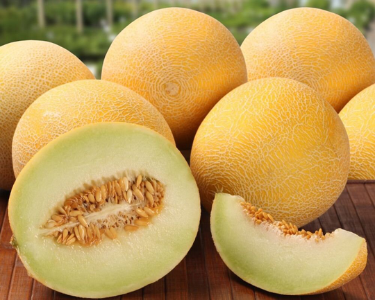 Melon Seeds Beregina
