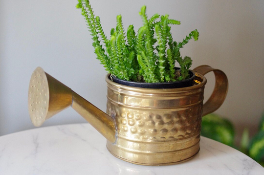Small Vintage Brass Watering Can Planter, Decor, Indoor Planter Pot
