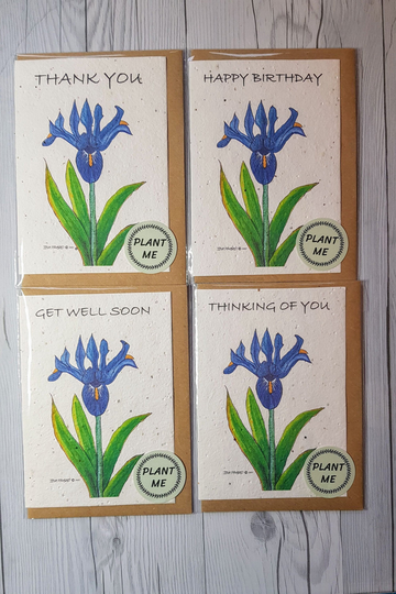 Iris Plantable Seeded Card Zero Waste Eco Friendly Tree Free Wild Flower Seeds Get Well Soon, Happy Birthday, Thankyou, Thinking Of You
