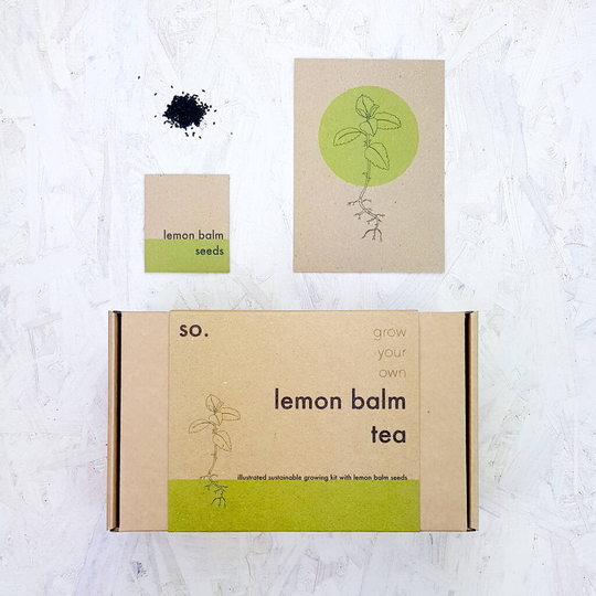 Grow Your Own Lemon Balm Herbal Tea Seed Kit