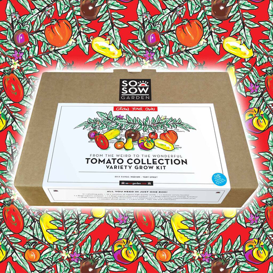 Tomato Collection Grow Your Own Kit