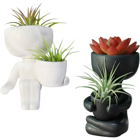 Sun Flowergb - Set of 2 Creative Ceramic Succulent Plant Pots Small Cactus Pots Flower Pots Mini Planters for Office Use Home Decor Craft Ornaments