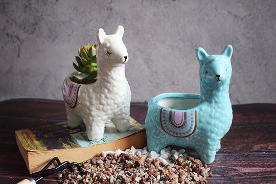Alpaca Succulent Pots, 2 Pc. Set Animal Planter, Decorative Ceramic Planters For Indoor Home Decor Living Room Kitchen Or Outdoor Garden