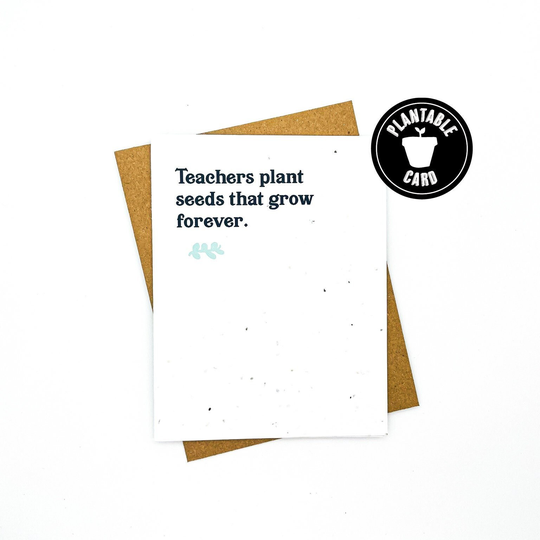 Wildflower Seed Paper Card, Teacher Appreciation Thank You Card For Teacher, Gifts Teachers, Eco-Friendly Gifts, Eco-Friendly