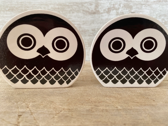 1970S Carltonware Cruet, Salt & Pepper Set With Beautiful Monochrome Owl Design, Vintage Ceramic Cruet, Fabulous Collectible Owls