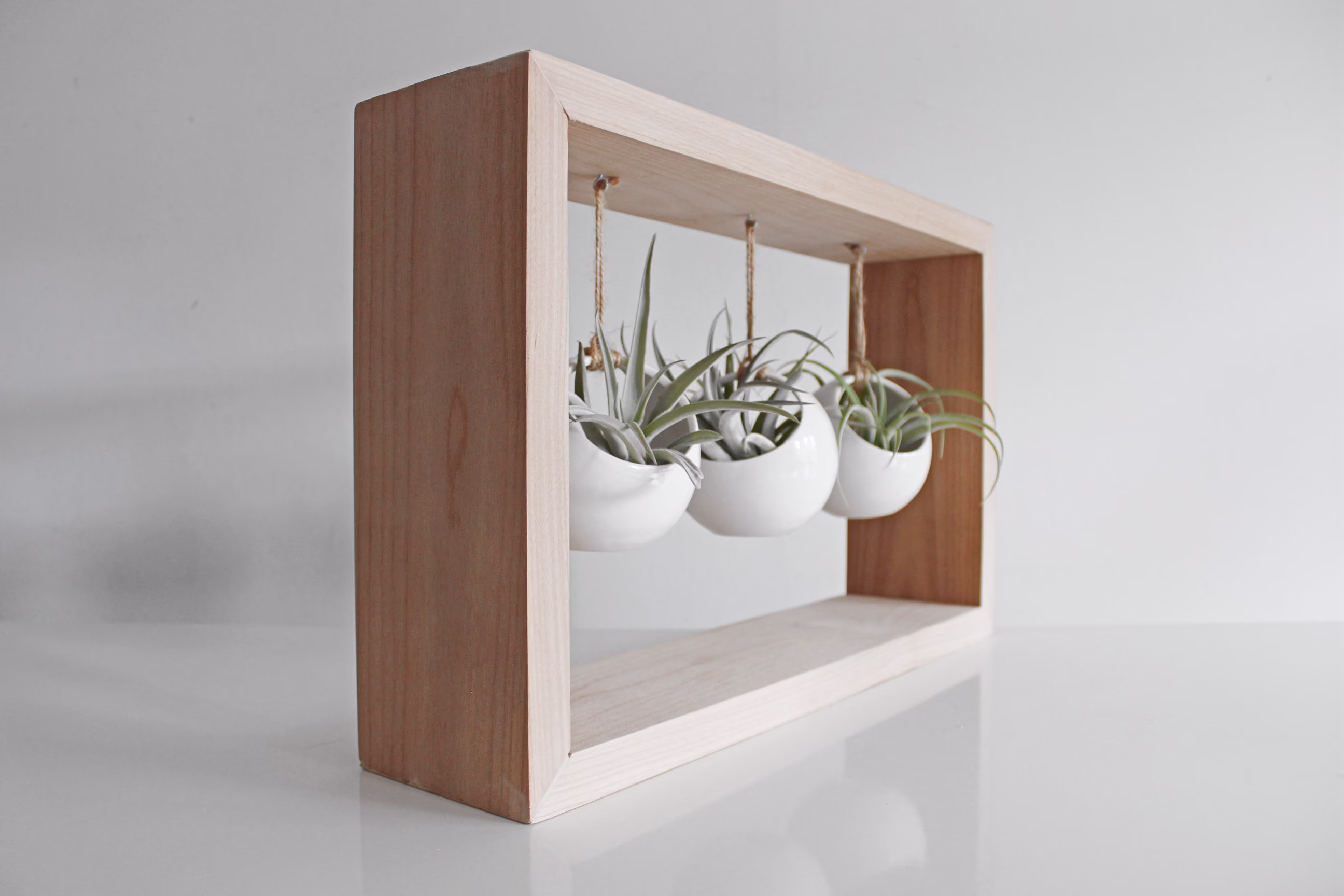Air Plant Display | Hanging Garden Indoor Succulent Planter
