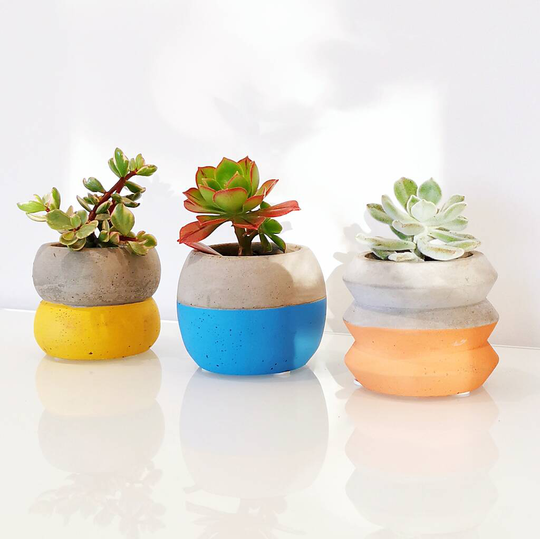 Colour Block Cement Planter With A Succulent Or Cacti