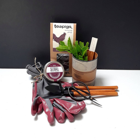 Grow Your Own Tea Gift Set