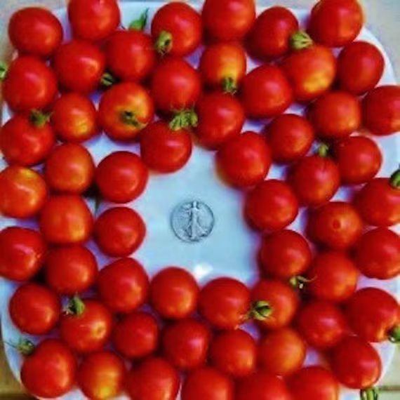 Large Red Cherry - 40 Hand Picked Seeds
