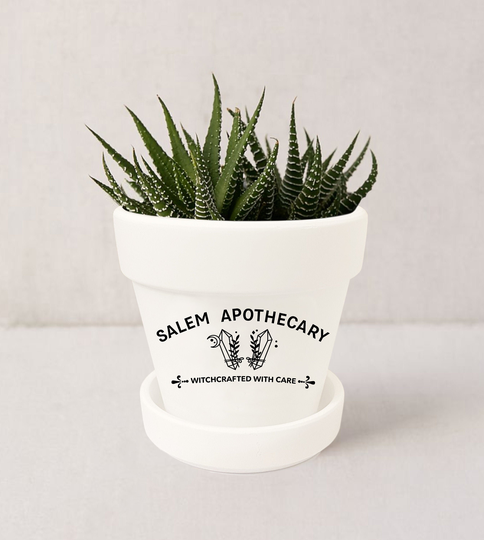 Salem Apothecary Plant Pot | Witchy Decor Gothic Mystical Succulent Indoor Planter with Saucer Plants Not Included | White