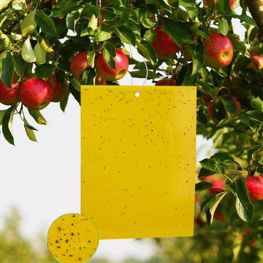 Insect Traps, 20pcs Double Sided Sticky Traps, Yellow Insect Killer Paper Anti White Fly Sheet, for Garden Plant Fur Fruits Protection