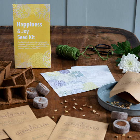Reflective Moods Seed Kit Happiness