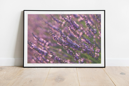 Lavender Print, Bunch Art, Modern Floral Minimalist, Nature Inspired Prints, Natural Decor, Cottagecore Prints