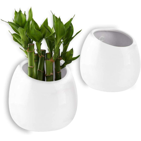 Devenirriche - White 10CM Ceramic Wall Mounted Plant Pot Set of 2, Wall Decor Decoration for Living Room Home Garden Evening Party Christmas and
