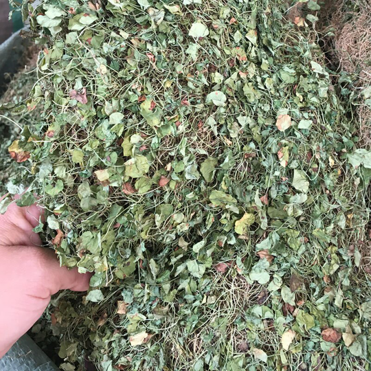 500G 100% Natural Gotu Kola, Centella Asiatica, Dried Loose Herb Tea