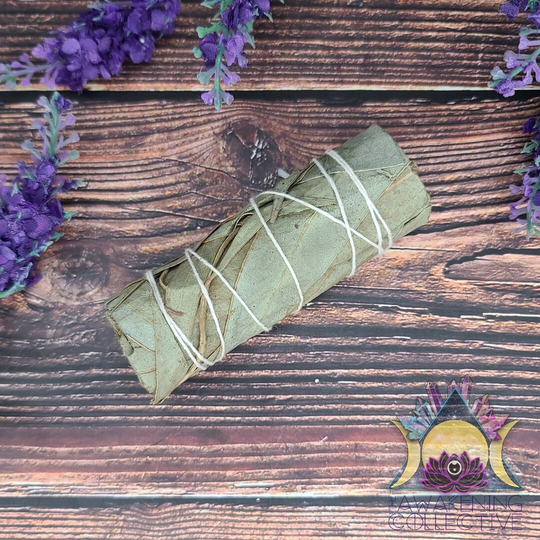 Eucalyptus, Smudge Stick, Wand, Bundle, Smoke Cleanse, Hand Wrapped, Consciously Collected, Ethically Sourced, Sustainably Harvested