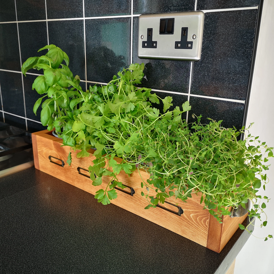 Wooden Herb Box - 50cm Window Sill Kitchen Planter Indoor Garden