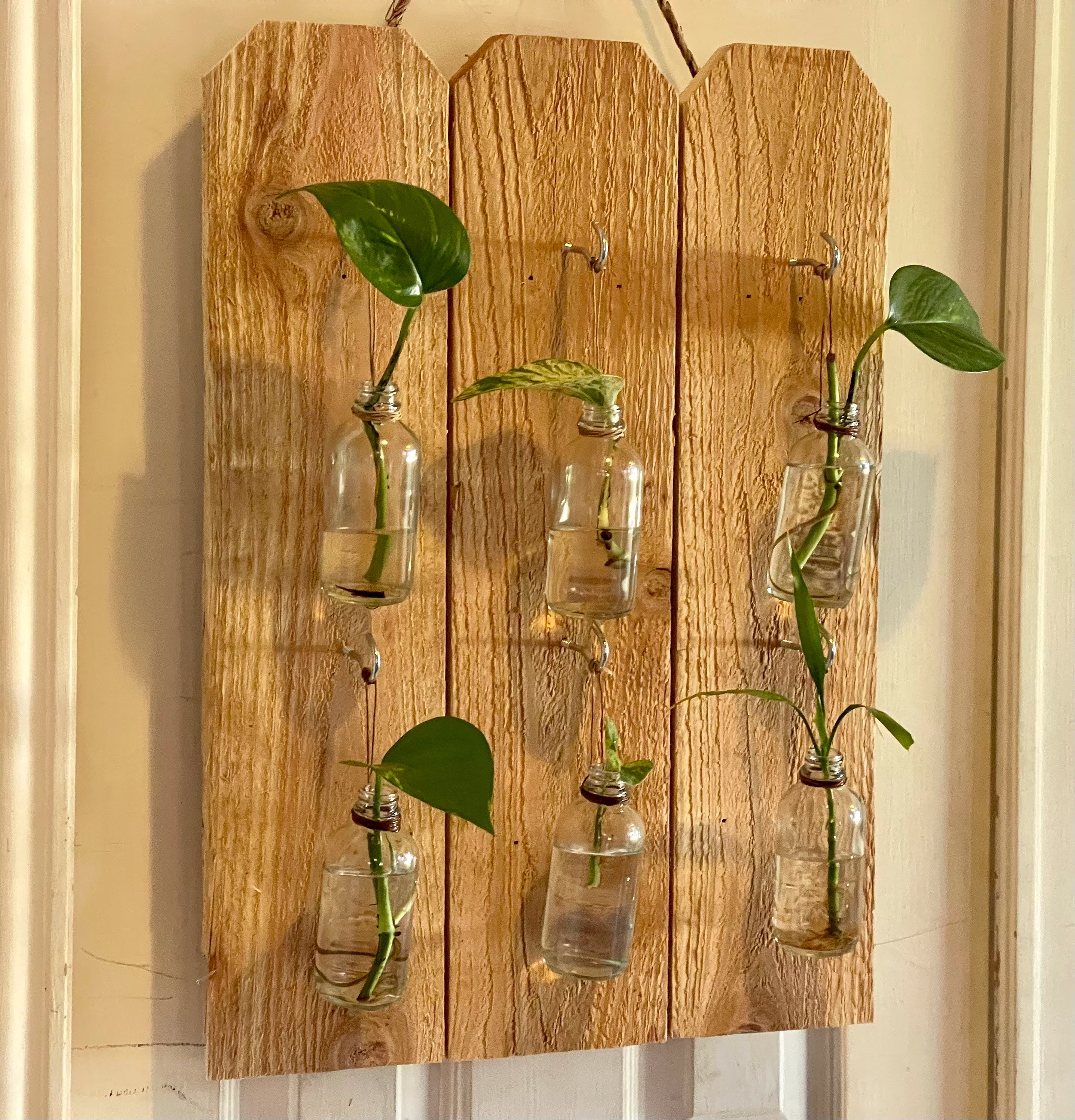 Hanging Pallet Propagation Station