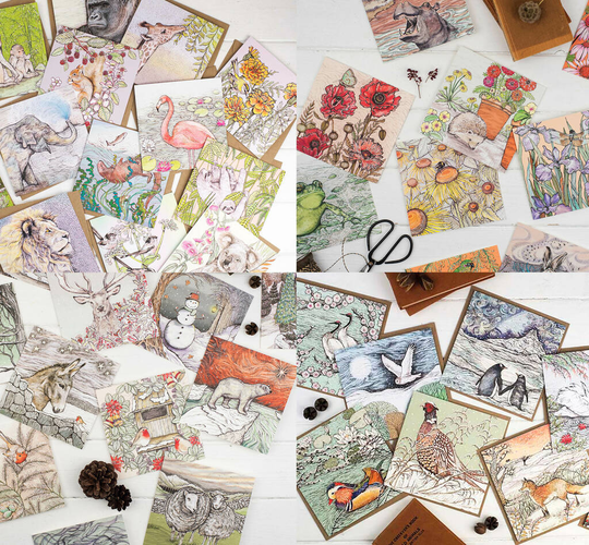 'Four Seasons' Mixed Pack Of 52 Or 104 Greeting Cards
