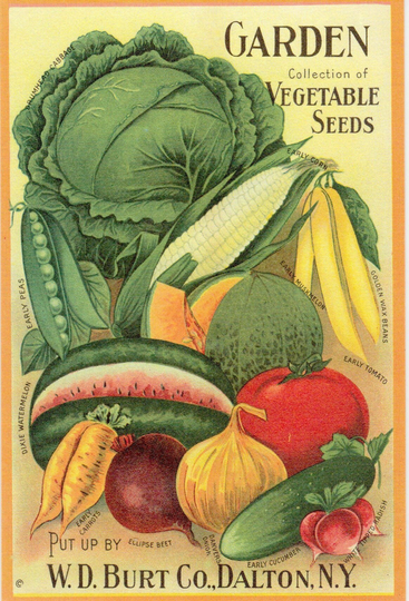 Garden Collection Seed Packet Postcard By Cavallini Victory To Mail Or For Framing, Collage, Scrapbooking, Paper Arts Pss 4889
