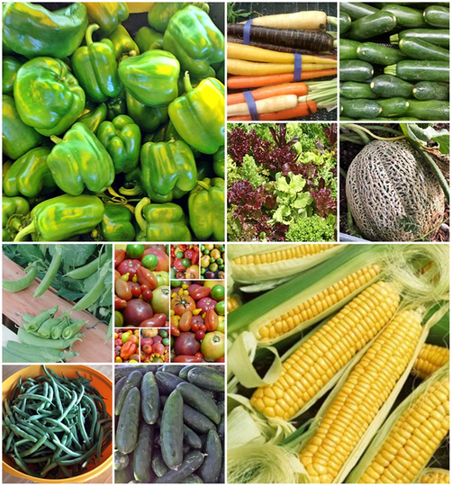 Heirloom Vegetable Garden Seed Kit/Open Pollinated Container Gardening Seeds Non-Gmo