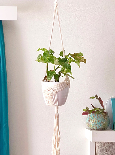 Plant Hanger Macrame, Macrame Ceiling Plant Hanger, Indoor Hanging Decor