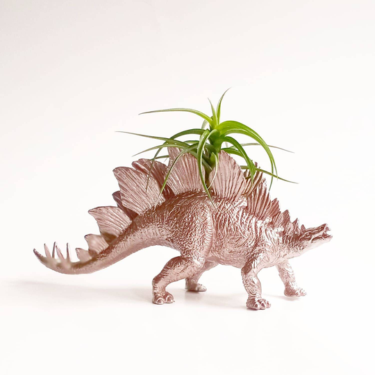 Rose Chrome Dino Planter // Air Plants Indoor Planters