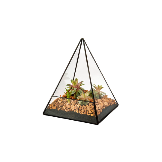 14x14x19 Triangular Clear Glass Terrarium Planter Geometric Display Weddings Centrepiece For Air Plants Moss Succulents Indoor Modern Garden